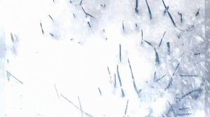 Пришла зима❄❄❄