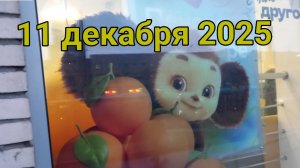 11 декабря 2025. Декабрьская серота и мокрота.