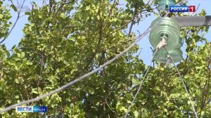 ВЕСТИ КРЫМ: выпуск 11.12.2025 9:30