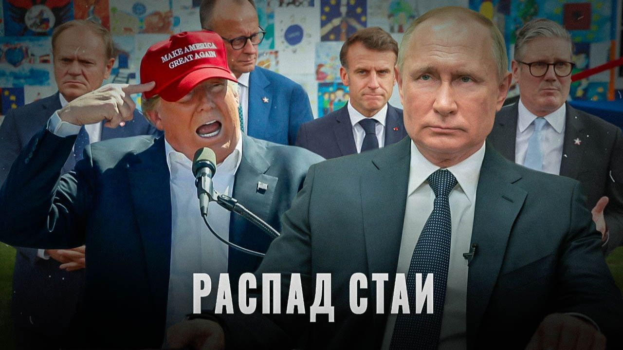 Распад стаи: Западу конец? смотреть онлайн