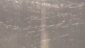 🔴Купянский лес под оптоволокном. Сегодняшняя реальность.🔴