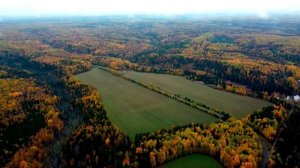 Видно, стал я с возрастом добрее...
