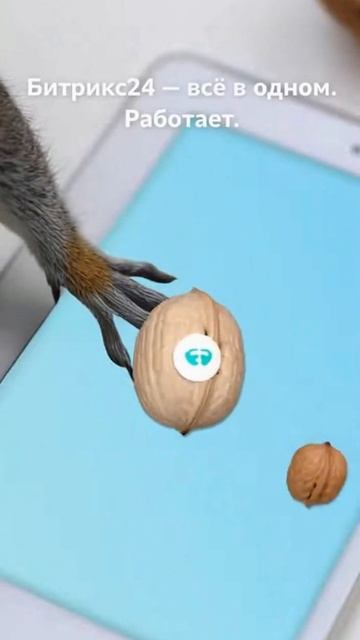 Битрикс24 — всё в одном месте: задачи, CRM, сделки, звонки, чаты, отчеты. смотреть онлайн