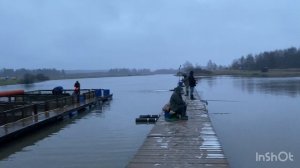 Ежедневный запуск форели