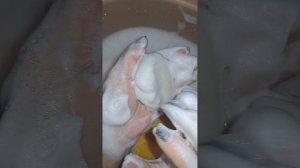 на любителя