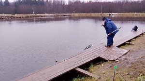 Ловля форели на безлимитном водоёмое РК "Фишка Петряиха"