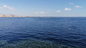 Хадаба Шарм эль Шейх 10.12.2025