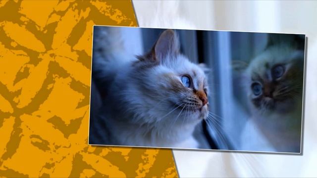 Cities In The Clouds 07