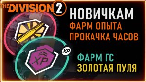 Как быстро качать опыт Х3, Х5, ГС Золотая пуля ⚡ Экзотический контейнер ⚡  Для новичков ⚡ Division 2