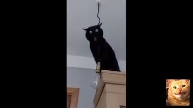 ух ты смотреть онлайн