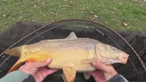 Рыбалка на флэт фидер, ловля карпа зимой по холодной воде.