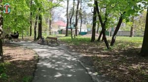 Зоочосис VS Зоономалия 🥇 Топ 5 ЛУЧШИХ ВИДЕО ГОДА