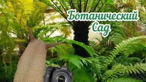 Из хмурой осени в жаркое лето? Приключения в ботаническом саду.