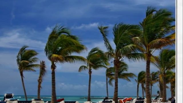 Бархатный сезон (1)