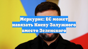 Аналитик Меркурис: Евросоюз хочет навязать украинцам Залужного вместо Зеленского