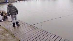 Основной водоём.Бобриный хвост