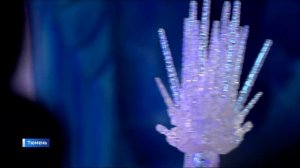 Поезд Деда Мороза сделал остановку в Тюмени