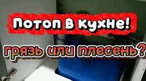 Потоп в кухне. Грязь или плесень?