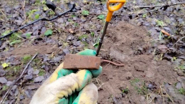 металлокоп в лесу 