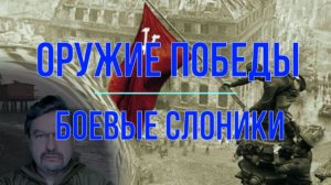 Оружие Победы - боевые Слоники