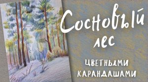 Нарисуем зимний пейзаж "Сосновый лес" цветными карандашами