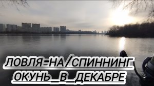 ХОРОШИЕ ОКУНЯ НА МИКРОДЖИГ/МОСКВА река! РЫБАЛКА В ДЕКАБРЕ)