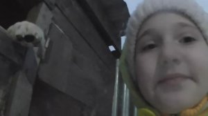 пришла зима