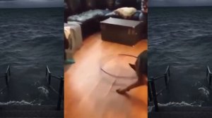 Я ржал до слёз😂5 Минут смеха 2025 Смешные видео Лучшие Лютые приколы Декабря!Подборка!