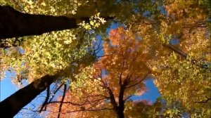 Стихи о Боге читает Наталья Драволина - часть 2