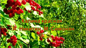 Калина красная. А. Никитин  М. Симонян. сл.Вадим Цыганов .муз.Игорь Слуцкий.