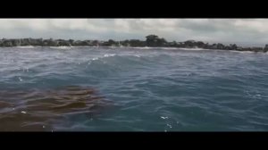 Трейлер фильма «Кит-убийца» 2026 года. Вирджиния Гарднер