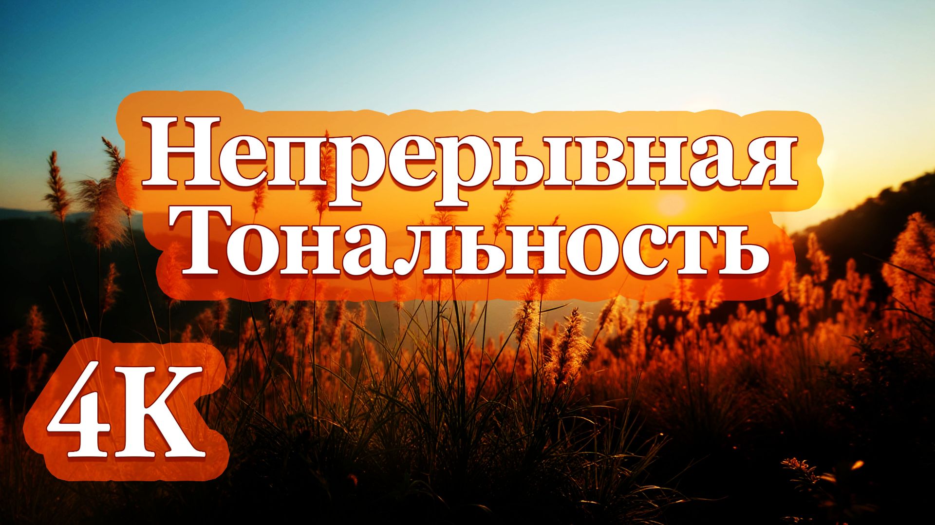 4K Непрерывная Тональность | Дрон-музыка для Фокусировки, Медитации и Расслабления 🎵✨🎵