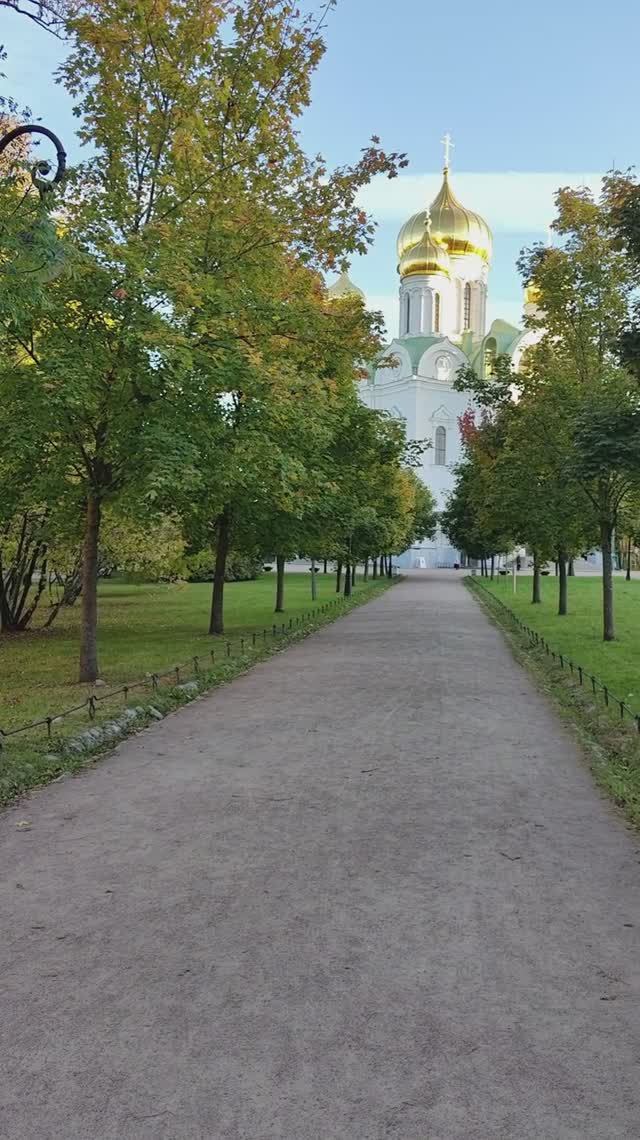 Сергей и Алиса | История двух сердец | Воспоминания на всю жизнь | Пушкин | Часть 1
