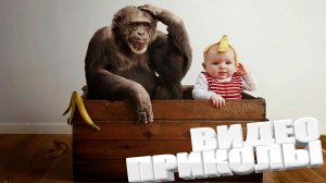 ЛУЧШИЕ ПРИКОЛЫ 2025 | ПРИКОЛЫ 2025 | СВЕЖИЕ ПРИКОЛЫ 2025 | РЖУ НЕ МОГУ |