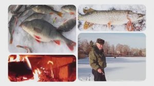 Снеговики⛄и удачный улов❄️#михалычдачник и #рыбак