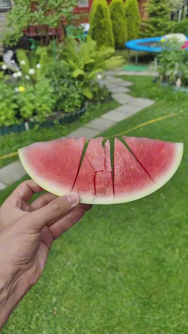 Сергей и Алиса | История двух сердец | Дачные видеозарисовки | Вкус лета