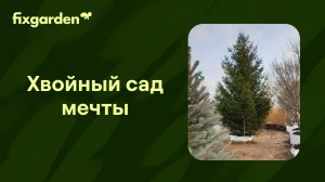 Хвойный сад мечты