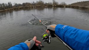 ЖОР ЩУКИ перед ледоставом! Её тут тьма! Рыбалка на спиннинг