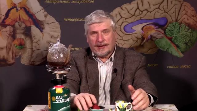 Инстинкт и рассудок