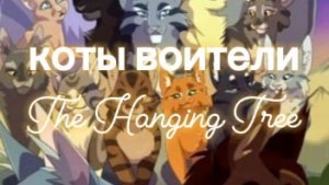 коты воители/ не жди,не жди!