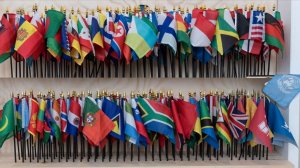 Двусторонняя и многосторонняя дипломатия: антагонизм или синергия? Евгений Иванов и Олег Шаландин.