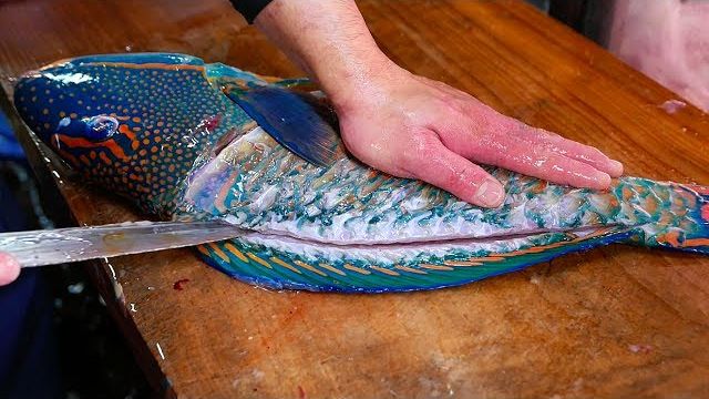Рыба попугай сашими Окинава морепродукты Япония смотреть онлайн