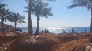 Вход в море -1 день