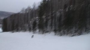 Красноярск Бобровый ЛОГ