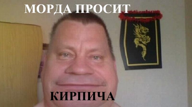 МОРДА ПРОСИТ КИРПИЧА //вирусная песня //