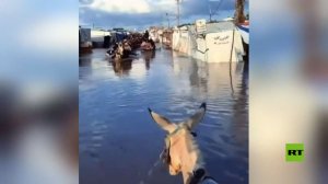 قطاع غزة.. مشاهد للأوضاع الكارثية التي يعاني منها النازحون في المخيمات