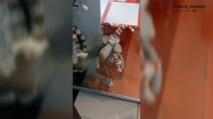 Ёлочка очень красивая и прогулка 👍🌺#прогулка