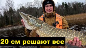 20 см все решают. Осенний твичинг. Размер воблера.