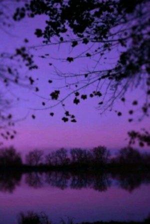 приветик 🎀💕