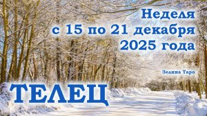 ТЕЛЕЦ | ТАРО прогноз на неделю с 15 по 21 декабря 2025 года